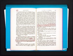 Untitled (Vénus à la Fourrure, p.136)