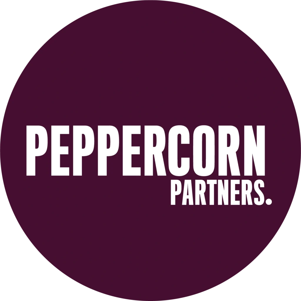 Partner 5