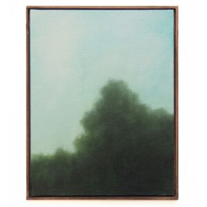 Opacité (Opacity)