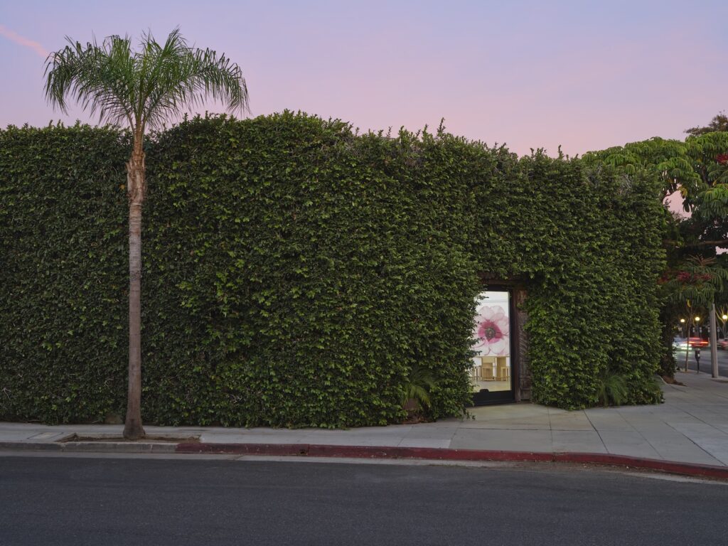 WOMEN IN THE ARTS: Megan Mulrooney, a rising voice of the LA art scene