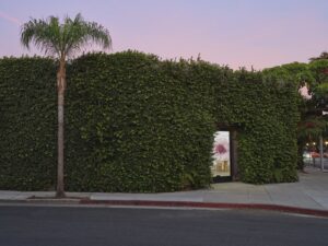 WOMEN IN THE ARTS: Megan Mulrooney, a rising voice of the LA art scene